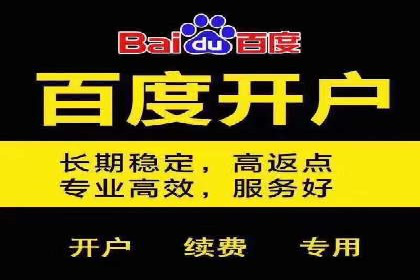 实战解析：SEM代运营成功案例分享